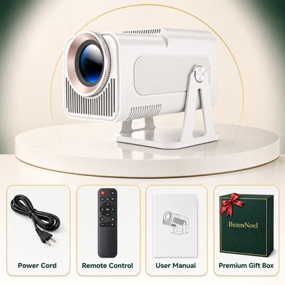 Christmas House Projector